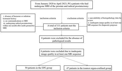 Amide proton transfer imaging has added value for predicting extraprostatic extension in prostate cancer patients